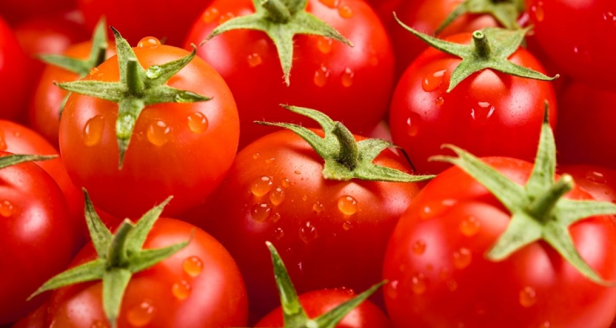 Las Propiedades Del Tomate Un Alimento Noble 2630